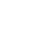 Call / Meeting Icon