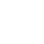 Develop Icon