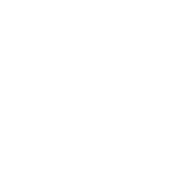 Design Icon