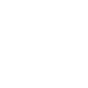 Launch Icon