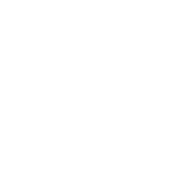 Wireframe Icon